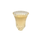 Yin Zhen Céleste · Aiguilles d’Argent · Thé Blanc Subtilsthes