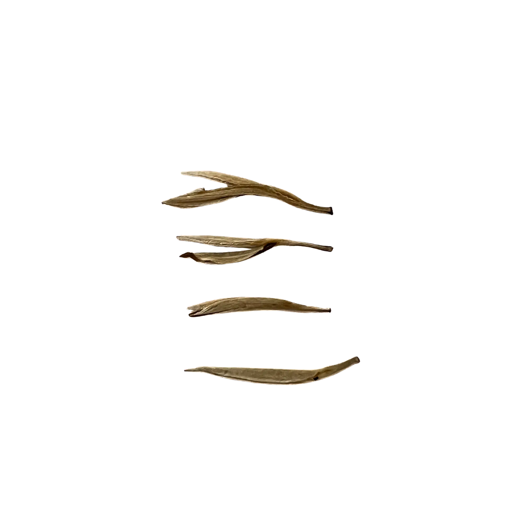 Yin Zhen Céleste · Aiguilles d’Argent · Thé Blanc Subtilsthes