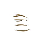 Yin Zhen Céleste · Aiguilles d’Argent · Thé Blanc Subtilsthes